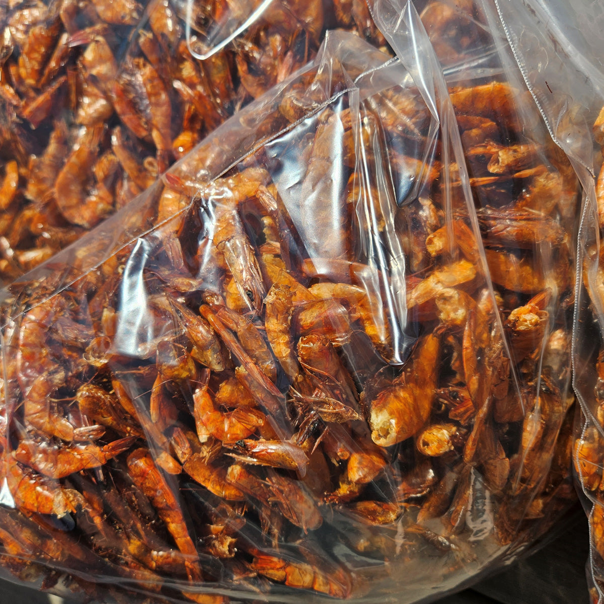 Dry Large Shrimp